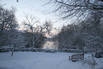 A midwinter's dawn Â© Ruth Corney