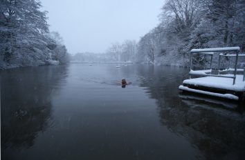 Margaret Dickenson at the mixed pond in February Â© Ruth Corney