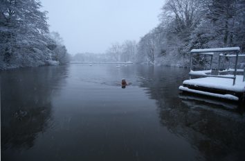 Margaret Dickenson at the mixed pond in February © Ruth Corney